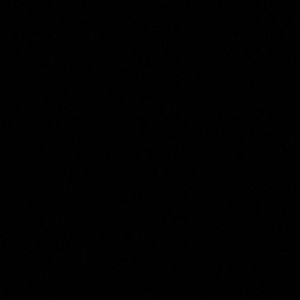 Meet your Posher, Paske